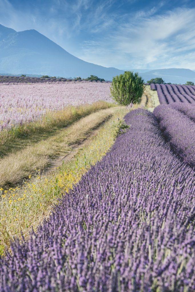 randonnée à velo en Provence