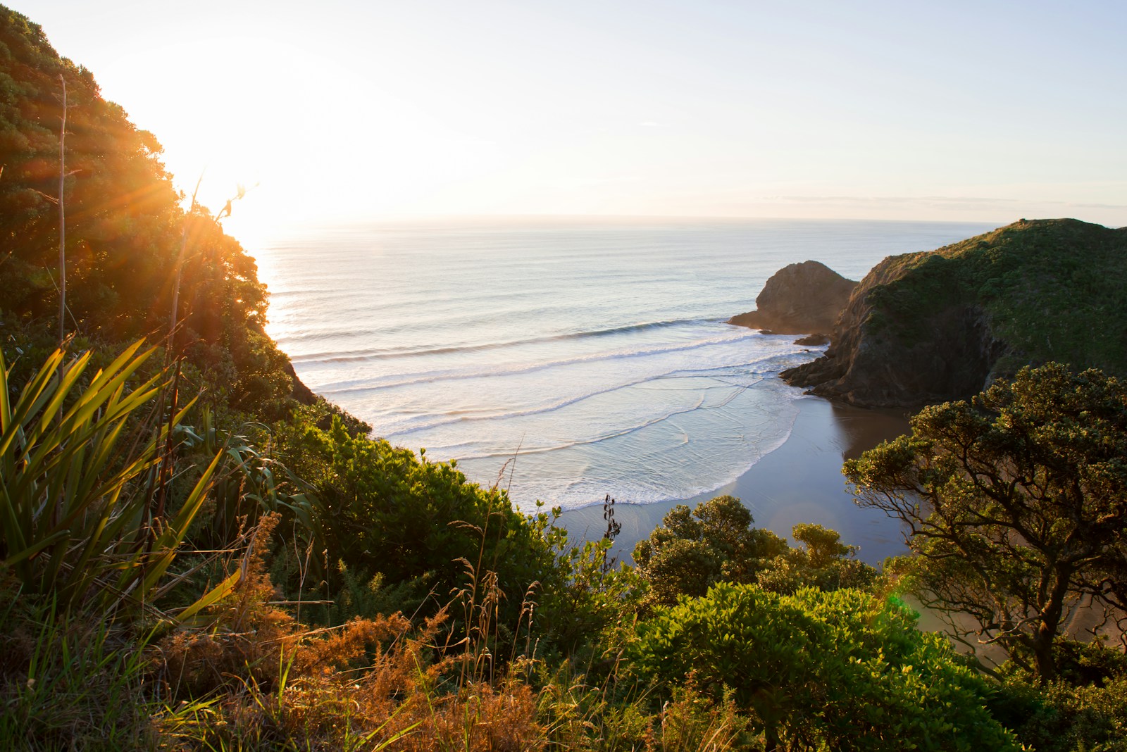 Exploration de la Nouvelle-Zélande : Aventures au pays des kiwis et des Maoris